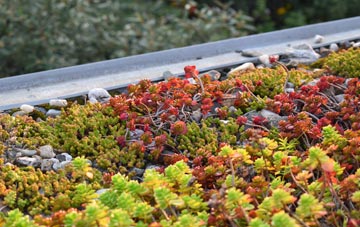 the cost of Hartley Wespall green roof installation