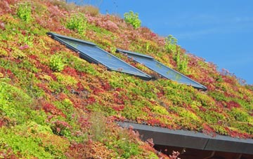 Hartley Wespall living roof systems